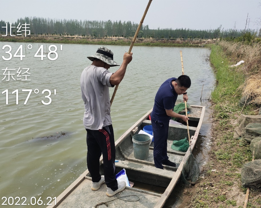 图片0000 图片0000