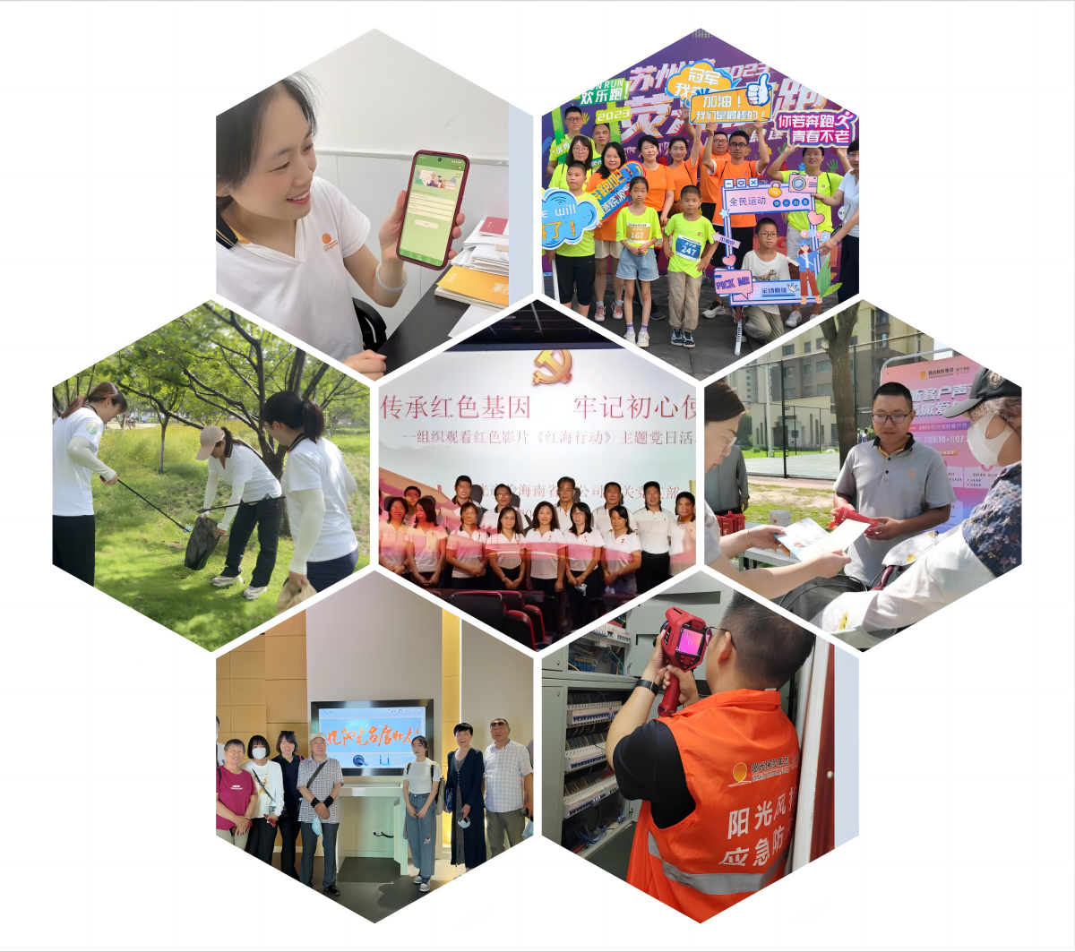 阳光财险 阳光财险