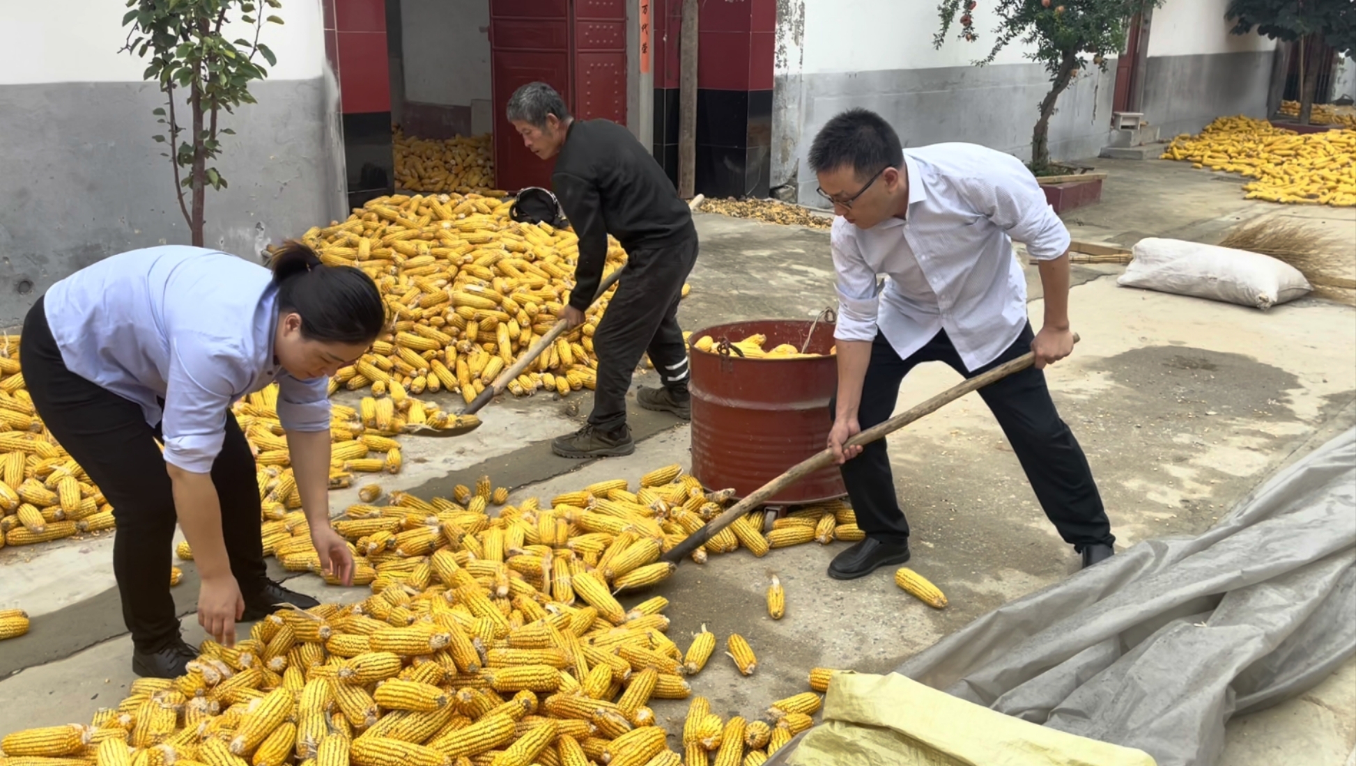 金融知识进乡村 爱心助农暖人心 (1)