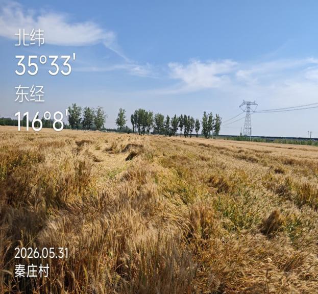 图片3 图片3