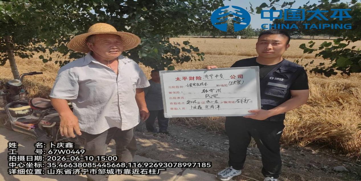 图片4 图片4