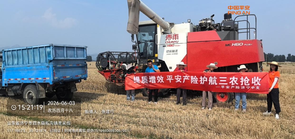 图片7 图片7