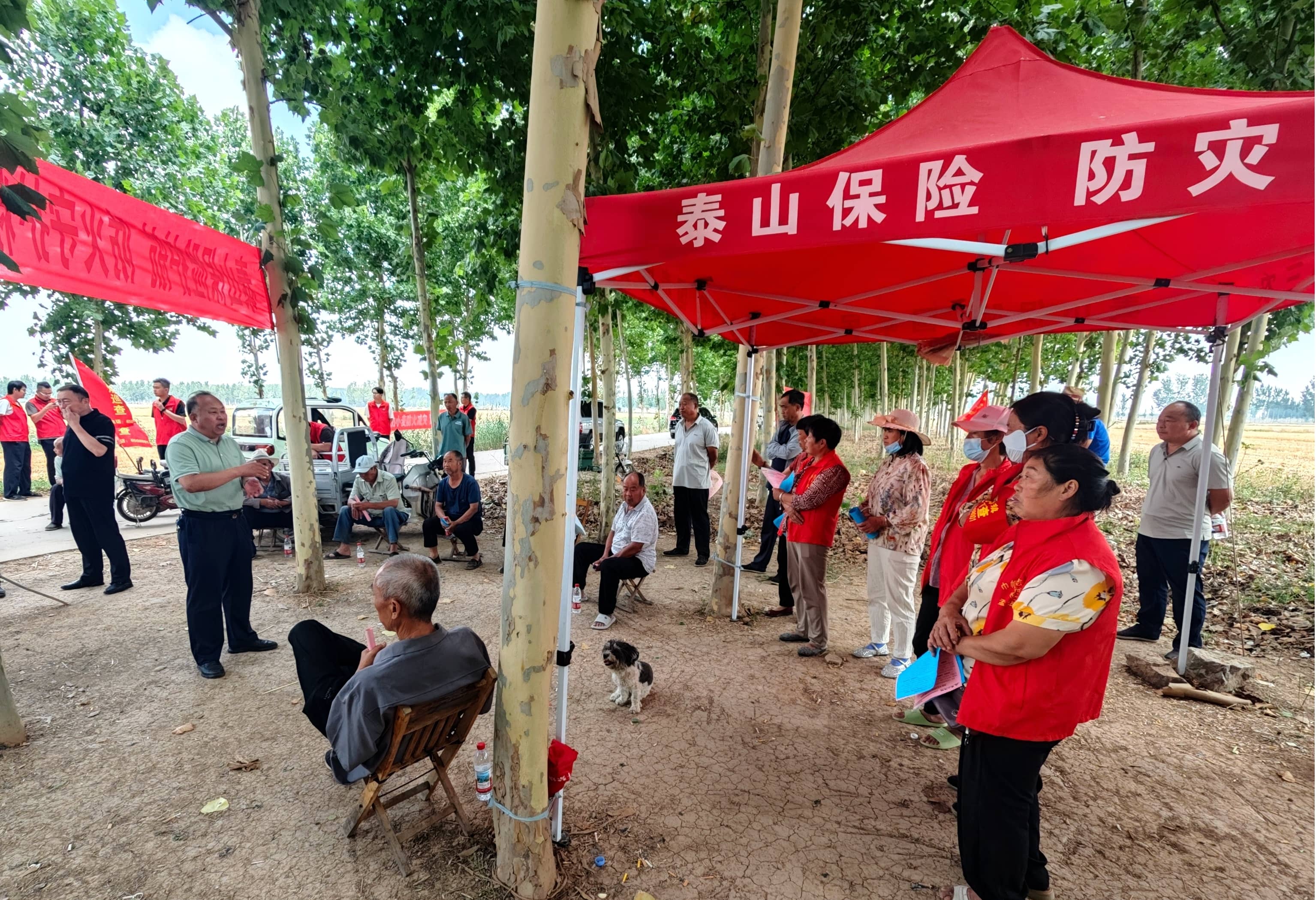 图片9(1)
