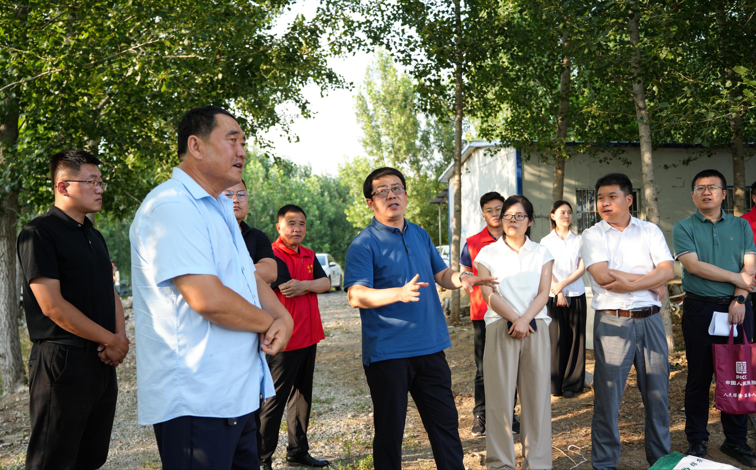 图片1 图片1