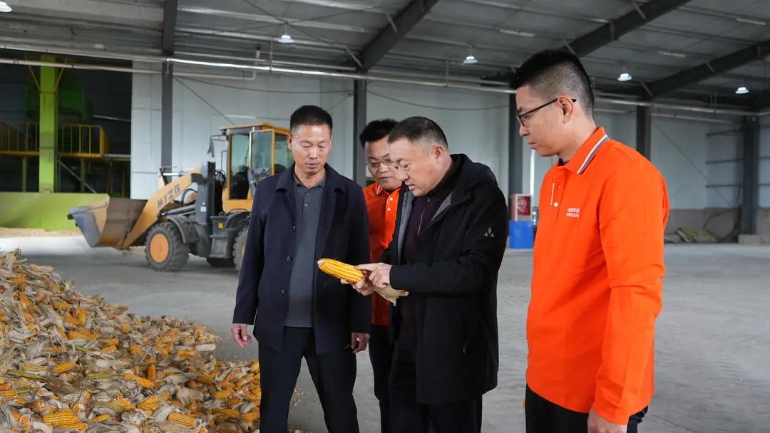 战阴雨保秋收，济宁保险业多措并举护航“三秋”生产